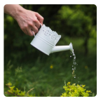 /media/image/ecogeste/liste/67e171e1516c1-eau-7.png