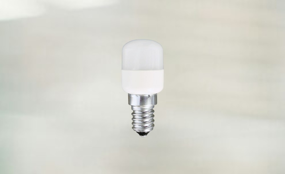ecogeste/paysage/68cd07696eccb-agir-sur-leclairage-ampoule-de-refrigerateur.jpg