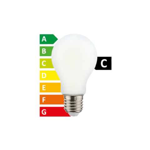 Ampoule LED 9W Gros culot E27