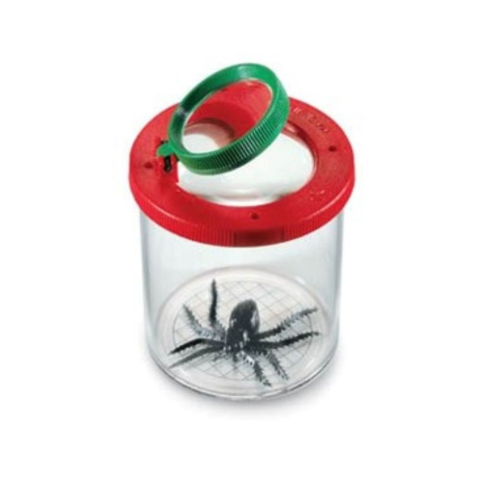 Loupe à insecte