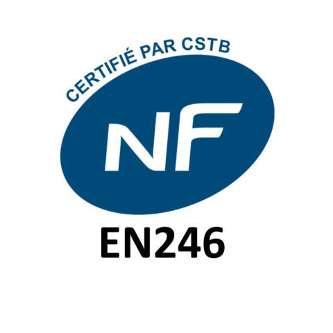 Logo NF 