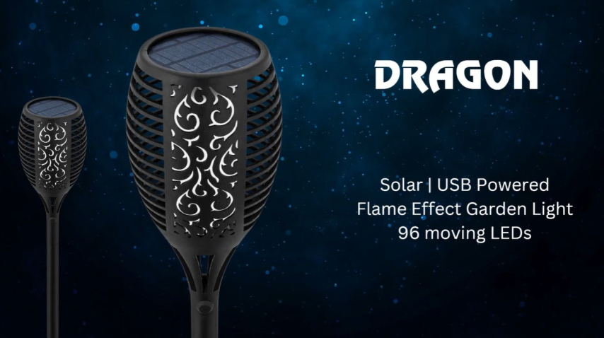 Video Dragon