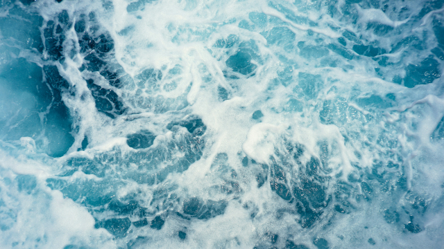 /media/image/taxonomy/menu/68d655ae0009d-christoffer-engstrom-wc9avd2ran0-unsplash.jpg